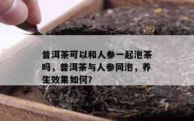 普洱茶可以和人参一起泡茶吗，普洱茶与人参同泡，养生效果怎样？