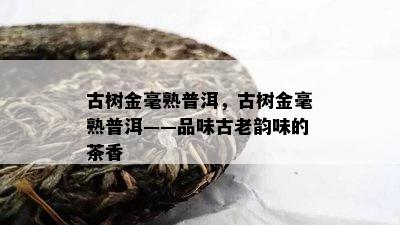 古树金毫熟普洱，古树金毫熟普洱——品味古老韵味的茶香