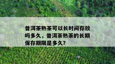 普洱茶熟茶可以长时间存放吗多久，普洱茶熟茶的长期保存期限是多久？