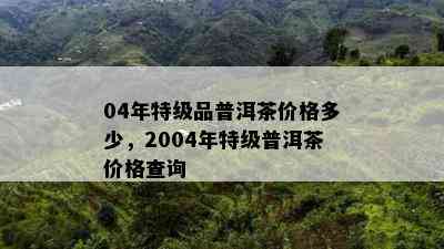 04年特级品普洱茶价格多少，2004年特级普洱茶价格查询