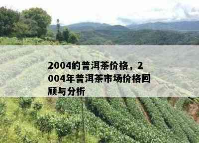 2004的普洱茶价格，2004年普洱茶市场价格回顾与分析