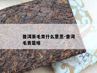 普洱茶毛青什么意思-普洱毛青是啥