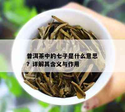 普洱茶中的七子是什么意思？详解其含义与作用