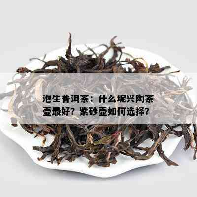 泡生普洱茶：什么坭兴陶茶壶更好？紫砂壶怎样选择？