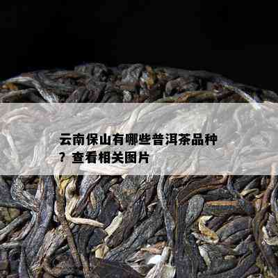 云南保山有哪些普洱茶品种？查看相关图片