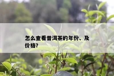 怎么查看普洱茶的年份、及价格？