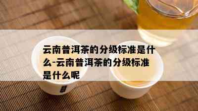 云南普洱茶的分级标准是什么-云南普洱茶的分级标准是什么呢