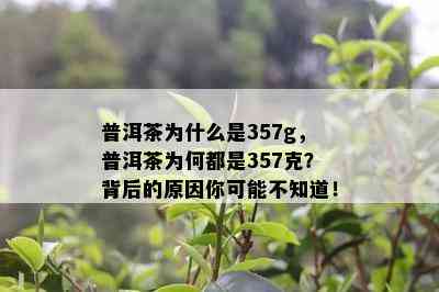 普洱茶为什么是357g，普洱茶为何都是357克？背后的原因你可能不知道！