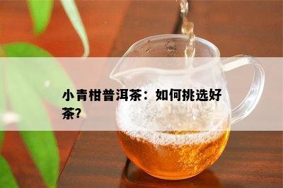 小青柑普洱茶：如何挑选好茶？