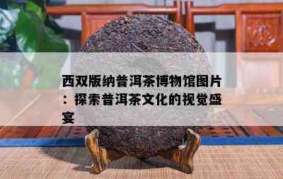 西双版纳普洱茶博物馆图片：探索普洱茶文化的视觉盛宴