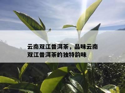 云南双江普洱茶，品味云南双江普洱茶的独特韵味