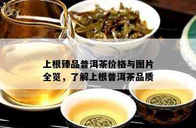 上根臻品普洱茶价格与图片全览，了解上根普洱茶品质