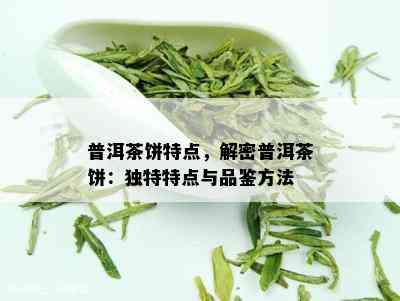 普洱茶饼特点，解密普洱茶饼：独特特点与品鉴方法