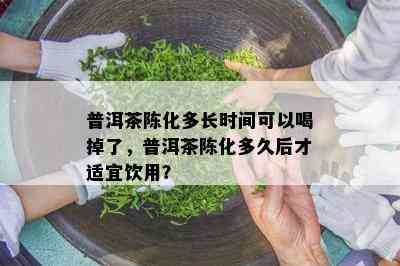 普洱茶陈化多长时间可以喝掉了，普洱茶陈化多久后才适宜饮用？