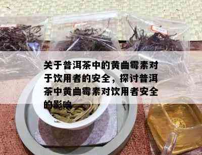 关于普洱茶中的黄曲霉素对饮用者的安全，探讨普洱茶中黄曲霉素对饮用者安全的作用