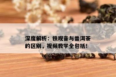 深度解析：铁观音与普洱茶的区别，视频教学全包括！