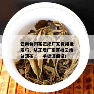 云南普洱茶正规厂家直接批发吗，从正规厂家直批云南普洱茶，一手货源保证！