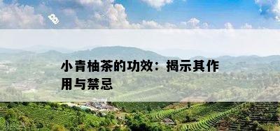 小青柚茶的功效：揭示其作用与禁忌