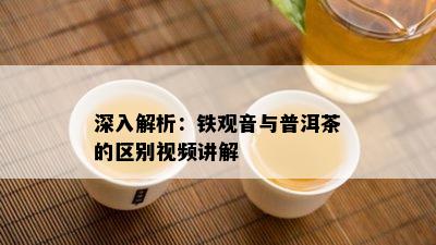 深入解析：铁观音与普洱茶的区别视频讲解