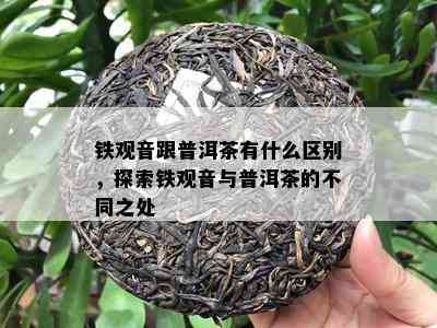 铁观音跟普洱茶有什么区别，探索铁观音与普洱茶的不同之处