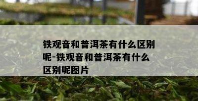 铁观音和普洱茶有什么区别呢-铁观音和普洱茶有什么区别呢图片