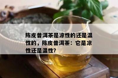 陈皮普洱茶是凉性的还是温性的，陈皮普洱茶：它是凉性还是温性？