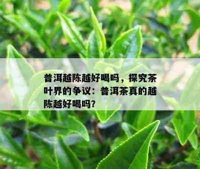 普洱越陈越好喝吗，探究茶叶界的争议：普洱茶真的越陈越好喝吗？