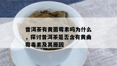 普洱茶有黄菌霉素吗为什么，探讨普洱茶是不是含有黄曲霉素及其起因