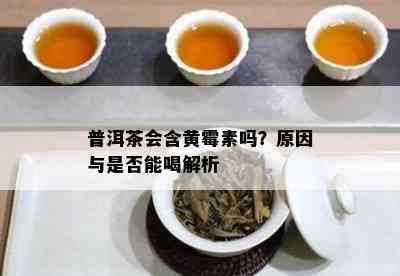 普洱茶会含黄霉素吗？起因与是不是能喝解析