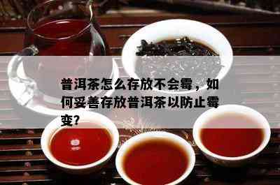 普洱茶怎么存放不会霉，怎样妥善存放普洱茶以防止霉变？