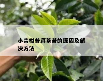 小青柑普洱茶苦的起因及解决方法