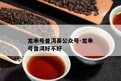 龙承号普洱茶公众号-龙承号普洱好不好