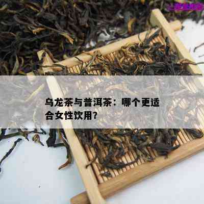 乌龙茶与普洱茶：哪个更适合女性饮用？