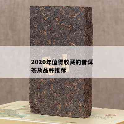 2020年值得收藏的普洱茶及品种推荐