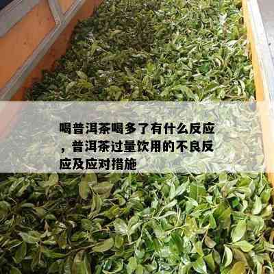 喝普洱茶喝多了有什么反应，普洱茶过量饮用的不良反应及应对措施