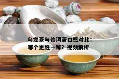 乌龙茶与普洱茶口感对比：哪个更胜一筹？视频解析