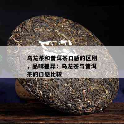 乌龙茶和普洱茶口感的区别，品味差异：乌龙茶与普洱茶的口感比较