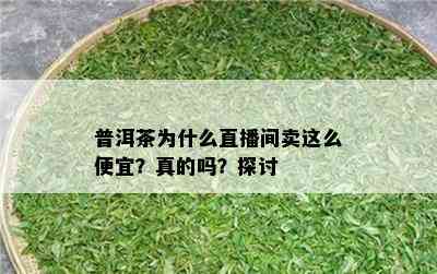 普洱茶为什么直播间卖这么便宜？真的吗？探讨