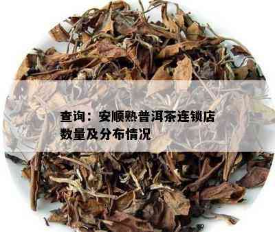 查询：安顺熟普洱茶连锁店数量及分布情况