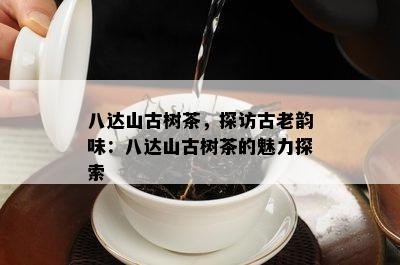 八达山古树茶，探访古老韵味：八达山古树茶的魅力探索