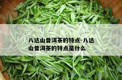 八达山普洱茶的特点-八达山普洱茶的特点是什么