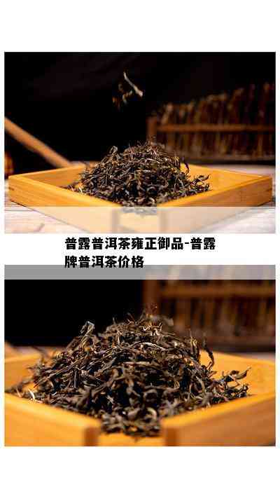 普露普洱茶雍正御品-普露牌普洱茶价格