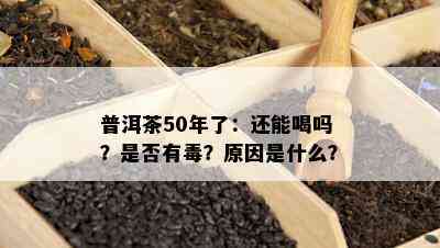 普洱茶50年了：还能喝吗？是否有？原因是什么？