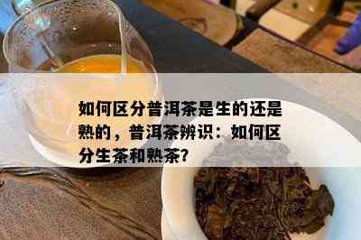 怎样区分普洱茶是生的还是熟的，普洱茶辨识：怎样区分生茶和熟茶？