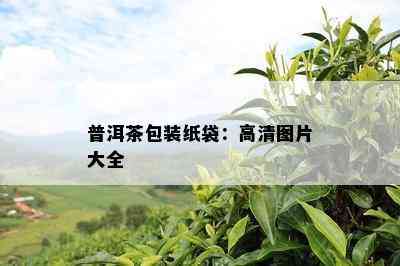 普洱茶包装纸袋：高清图片大全