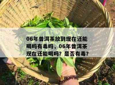 06年普洱茶放到现在还能喝吗有吗，06年普洱茶现在还能喝吗？是否有？