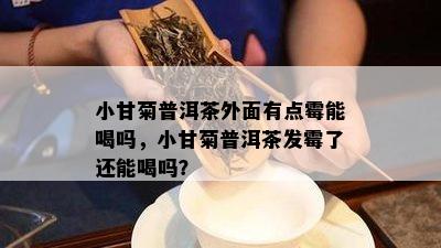 小甘菊普洱茶外面有点霉能喝吗，小甘菊普洱茶发霉了还能喝吗？