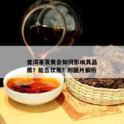 普洱茶发黄会怎样作用其品质？能否饮用？附图片解析