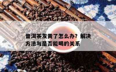 普洱茶发黄了怎么办？解决方法与是否能喝的关系