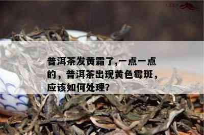 普洱茶发黄霜了,一点一点的，普洱茶出现黄色霉斑，应怎样解决？